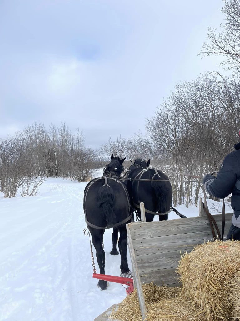 Winter Sleigh Ride